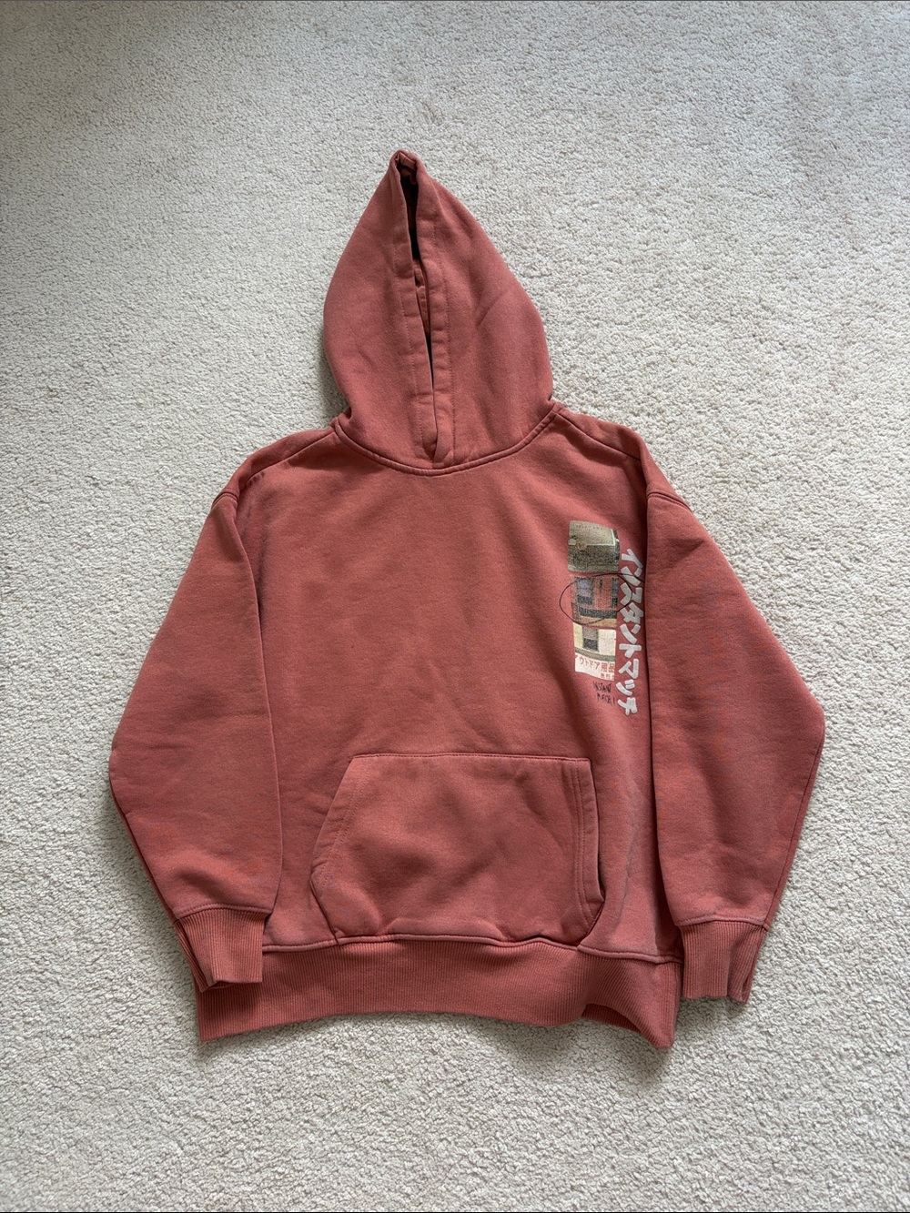 Zara Kids Hooded Sweatshirt with Side Graphic